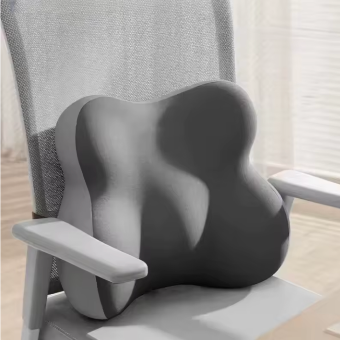 כרית גב אורטופדית לגב